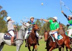 polo_119117_07.jpg