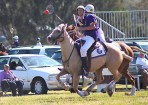 polocross_120244_02.jpg