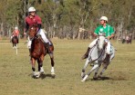 polocrosse_120719_02.jpg