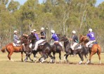 polocrosse_120719_05.jpg