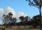 FT-Fire_129877_01.jpg