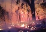 FT-Fire_129877_03.jpg
