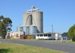 wpid-FT-Grain_130576_02.jpg