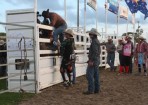wpid-sft-rodeo_133425_04.jpg