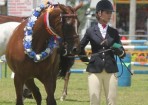 wpid-FT-SShow_134004_04.jpg