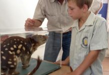 Protecting rare wildlife