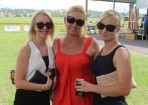 wpid-sft-racing_135443_03.jpg