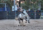 wpid-sft-rodeo_135766_13.jpg