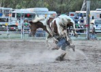 wpid-sft-rodeo_135766_19.jpg