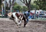 wpid-sft-rodeo_135766_20.jpg