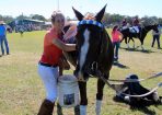 wpid-Polo_137594_01.jpg