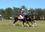 wpid-Polo_137594_02.jpg