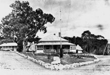 Treating their broken minds