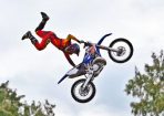 wpid-bulls_137343_01.jpg