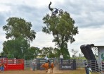 wpid-bulls_137343_03.jpg