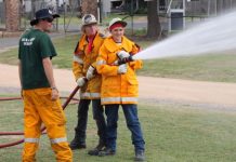 Disaster was a success