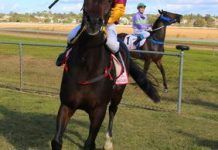 Record crowds at races