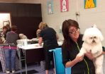 wpid-Dog_139472_01.jpg