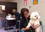 wpid-Dog_139472_02.jpg