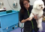 wpid-Dog_139472_03.jpg