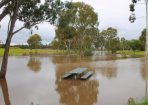 wpid-Storms_138648_01.jpg