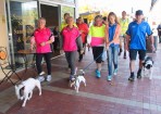 wpid-sftwalk_138517_02.jpg