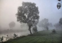 Westy’s weather for July