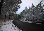 Weather_142367_01.JPG