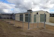 Pet rehoming rates up