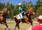 Polocrosse_142967_02.jpg