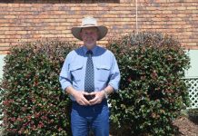 Trio against the Grain