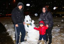 Snowflakes in Stanthorpe greenlit