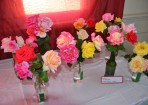 RoseFest_145503_05.JPG