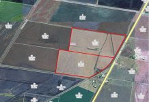 Grain debate doesn’t die