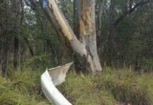 Two nasty road accidents