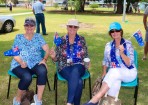 sftwaaus_149385_02.jpg