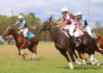 sftpolo_152184_01.jpg