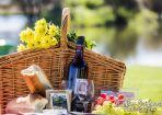 sftpicnic_153903_01.jpg