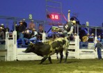 sftrodeo_158075_09.jpg