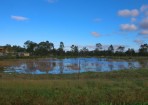 sftwater_158682_03.jpg