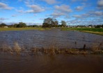 sftwater_158682_06.jpg