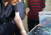 Artists brighten up Christmas