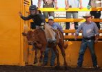 sftrodeo_161905_01.JPG