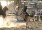 NYErodeo_163483_01.jpg