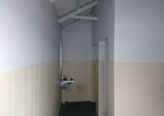 Thallloos_168317_05.JPG