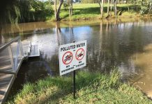 Sewage into river investigated