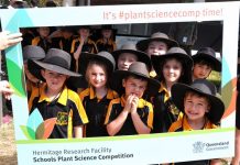 Spotlight on invasive pests