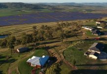 One Nation meeting on solar farm