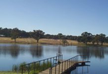 Pipeline contract awarded