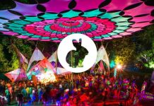 Music festival deaths investigated